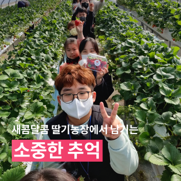 [다시; 봄] 새콤달콤 딸기농장에서 남기는 소중한 추억 이미지